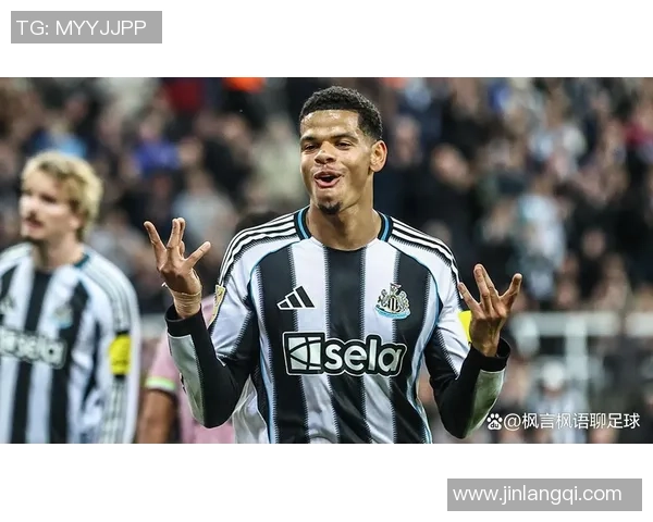 纽卡斯尔联与托特纳姆热刺比赛购票攻略及注意事项分享